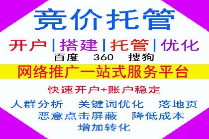 SEM投放策略：成功案例解析